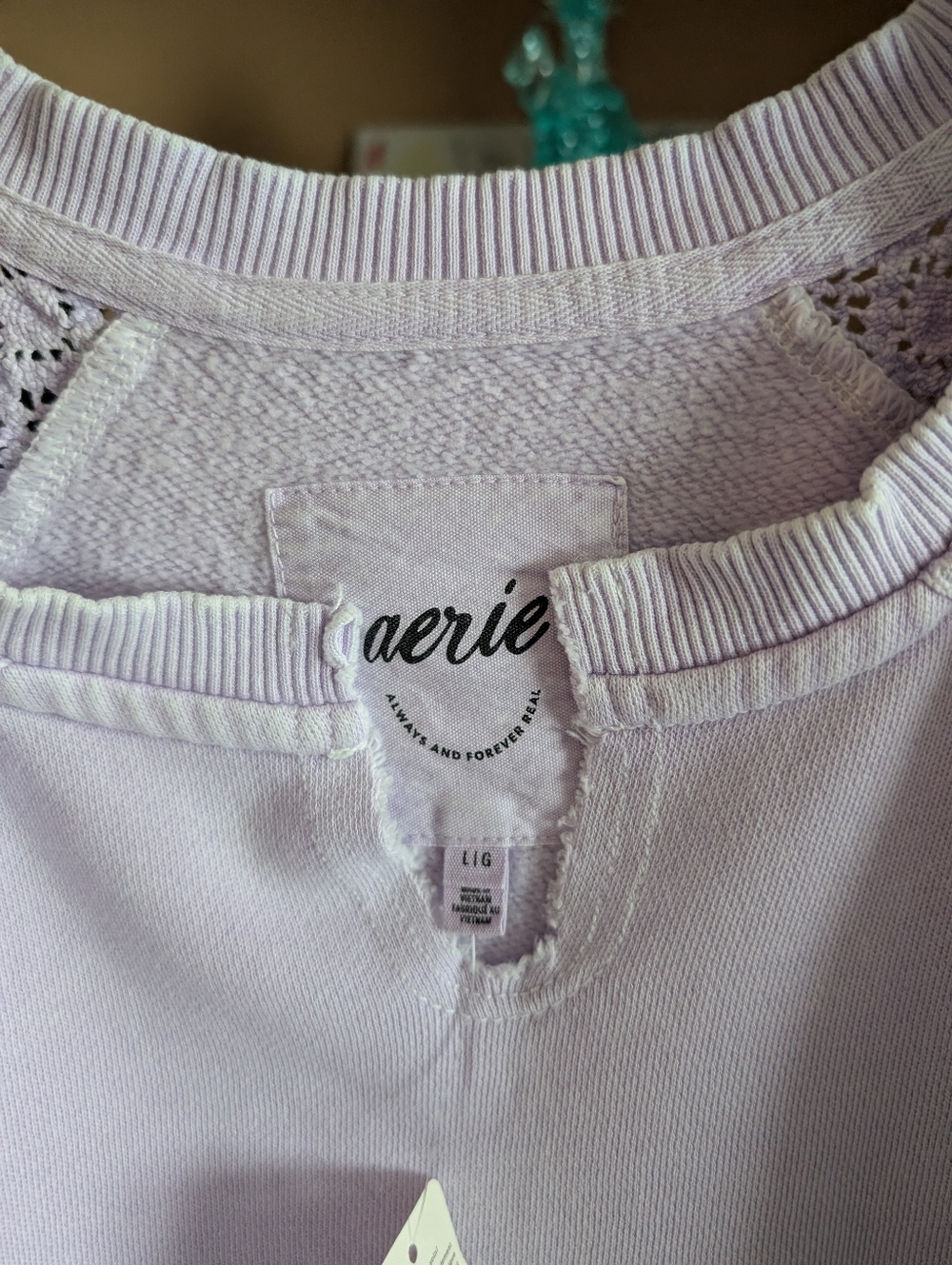 Aerie Hey Crochet Sweatshirt - Picture 3 of 3